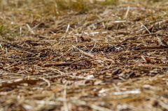 SportMarafon 2021 - 20210620_25.jpg 20210620_25.jpg